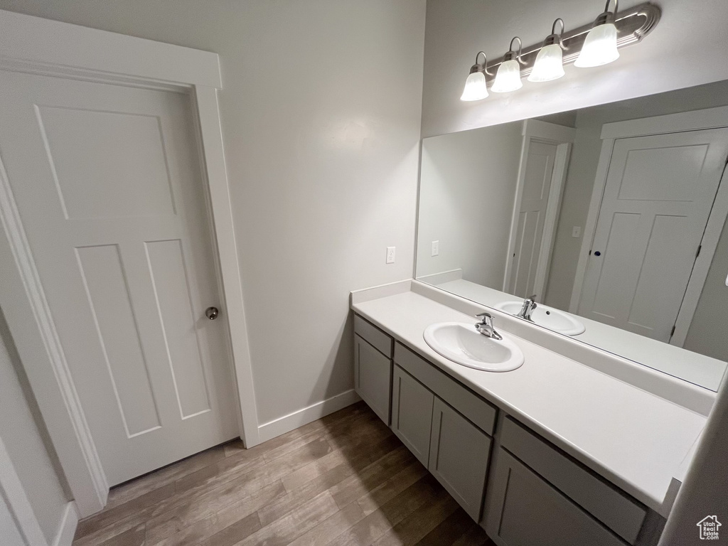 Bathroom with wood-type flooring and vanity with extensive cabinet space