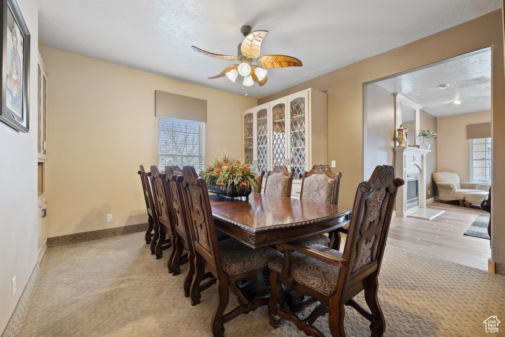 Carpeted dining room with plenty of natural light and ceiling fan