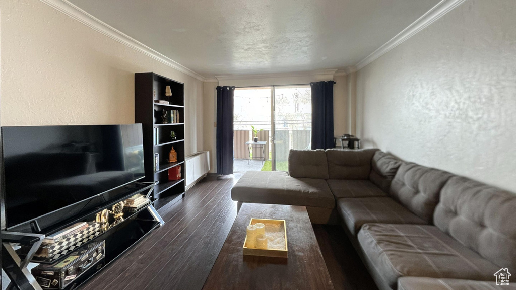 Living room with radiator, ornamental molding, and dark hardwood / wood-style floors