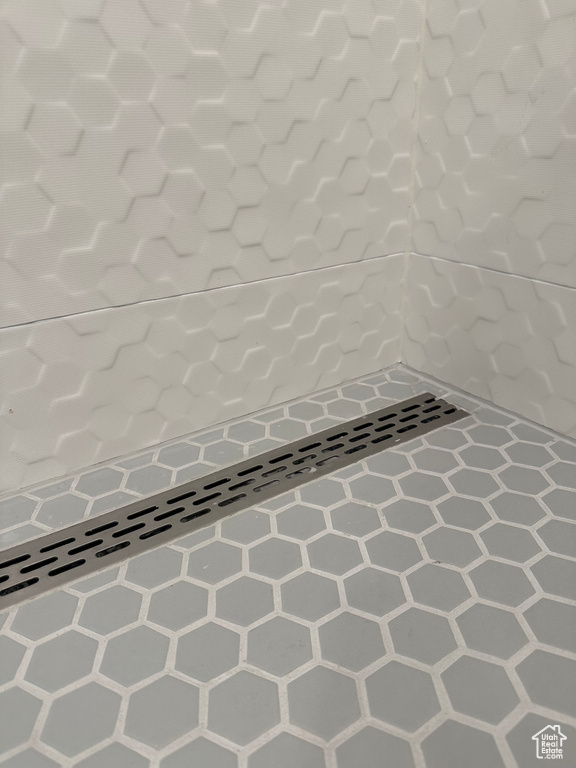 Interior details with walk in shower