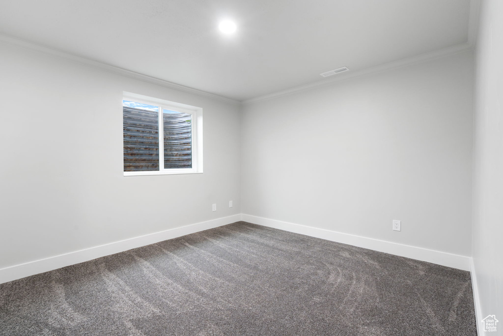 Empty room with crown molding and dark colored carpet