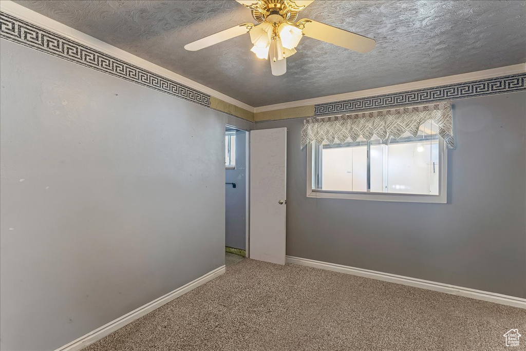 Carpeted spare room with ceiling fan, ornamental molding, and a textured ceiling