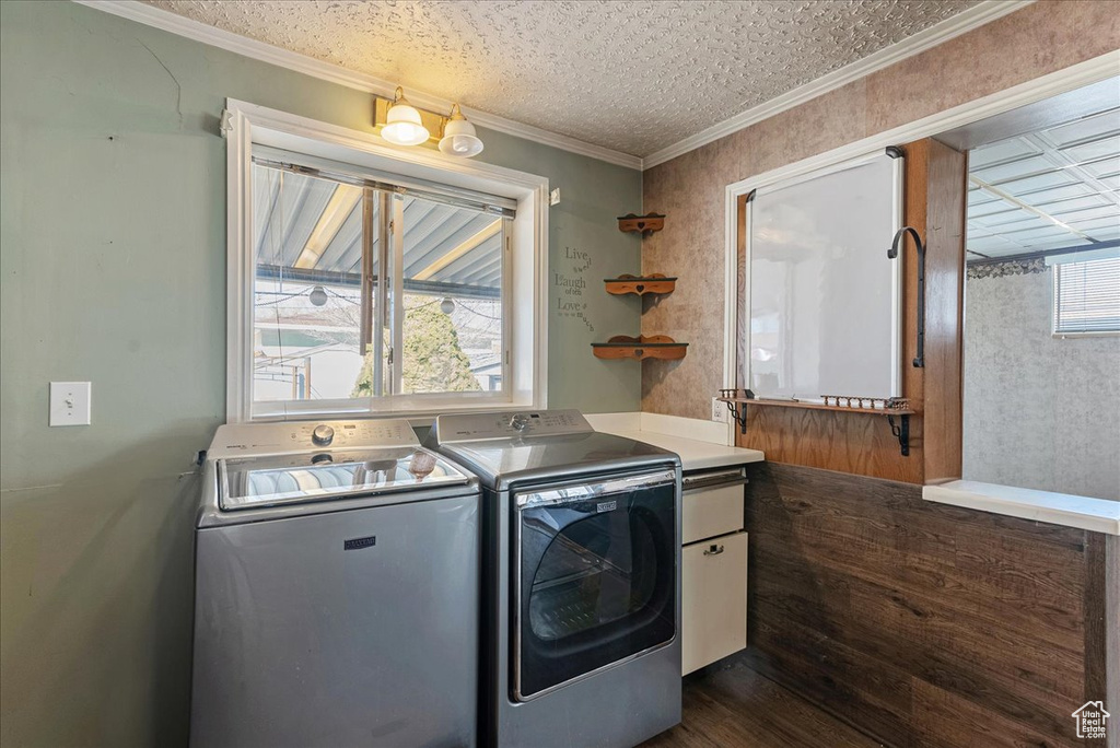 Laundry area featuring washing machine and dryer, ornamental molding, a healthy amount of sunlight, and dark hardwood / wood-style floors