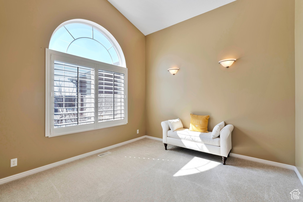 Sitting room featuring light colored carpet, vaulted ceiling, and a healthy amount of sunlight