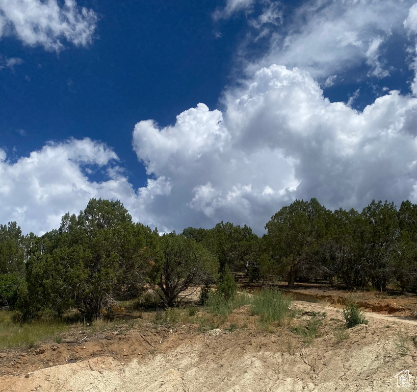 89 N ROUTE 89 Birdseye, UT 84629