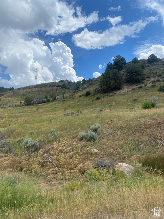 89 N ROUTE 89 Birdseye, UT 84629