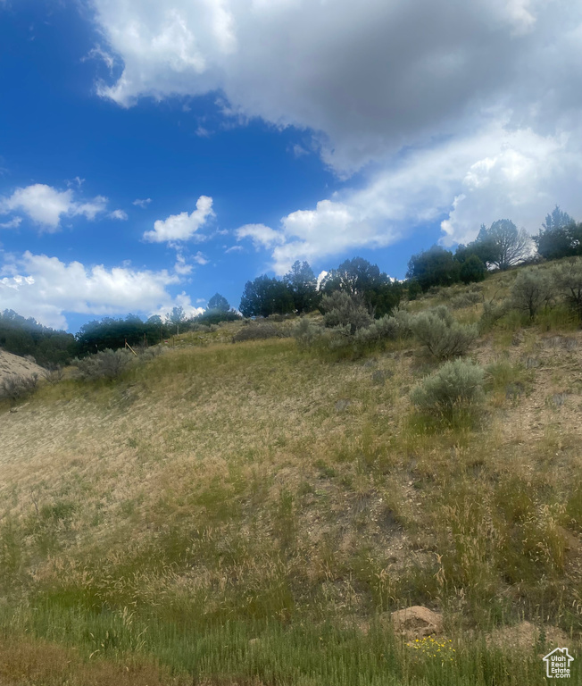 89 N ROUTE 89 Birdseye, UT 84629