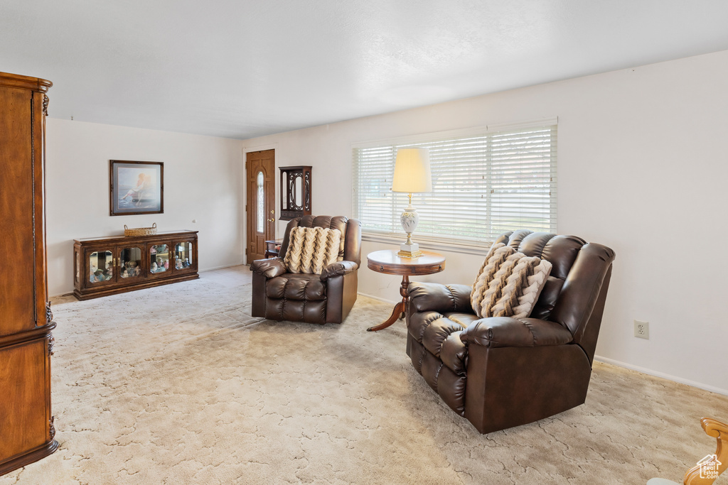 Living area with light colored carpet