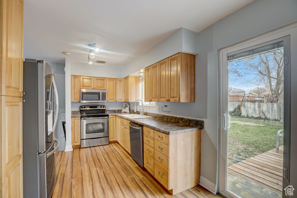 Kitchen featuring sink, a healthy amount of sunlight, stainless steel appliances, and light hardwood / wood-style floors