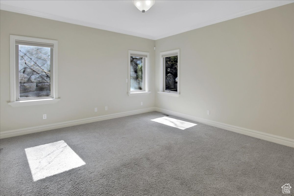 Carpeted empty room with ornamental molding