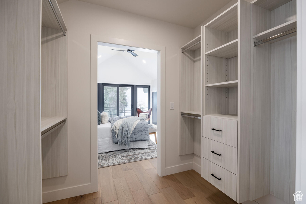 Spacious closet featuring ceiling fan, light hardwood / wood-style flooring, and vaulted ceiling