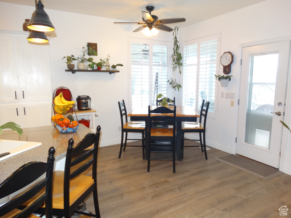 Dining room with hardwood / wood-style floors, ceiling fan, and a wealth of natural light