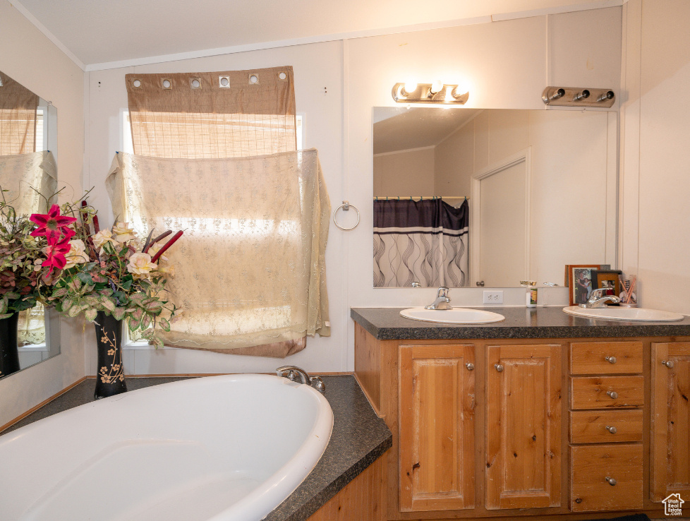 Bathroom with dual sinks, lofted ceiling, ornamental molding, vanity with extensive cabinet space, and a bathing tub