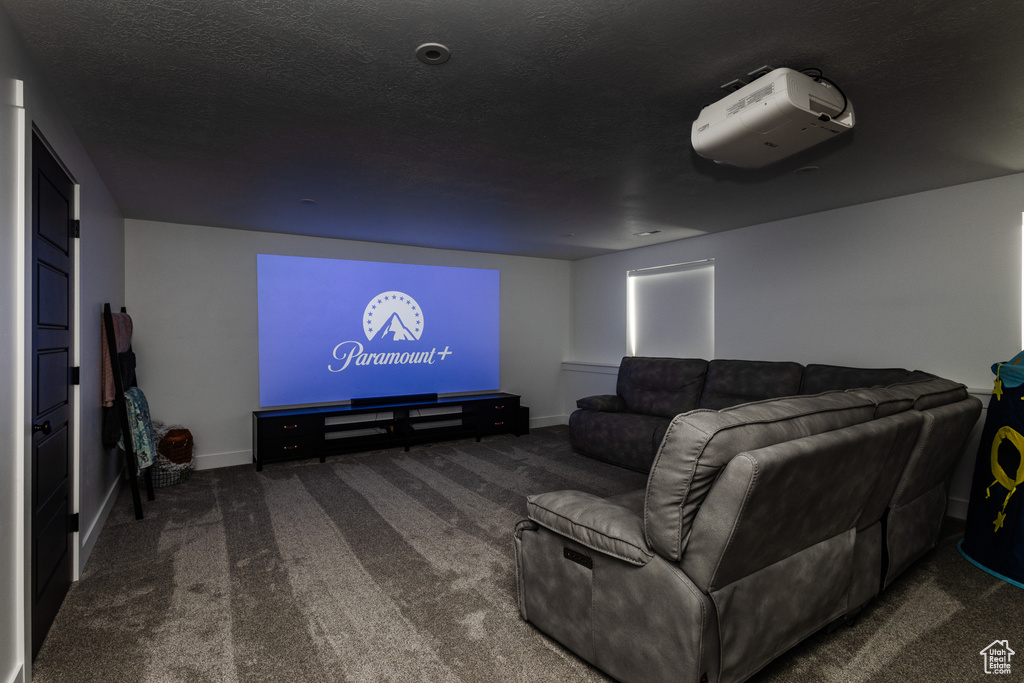 Home theater room with dark carpet