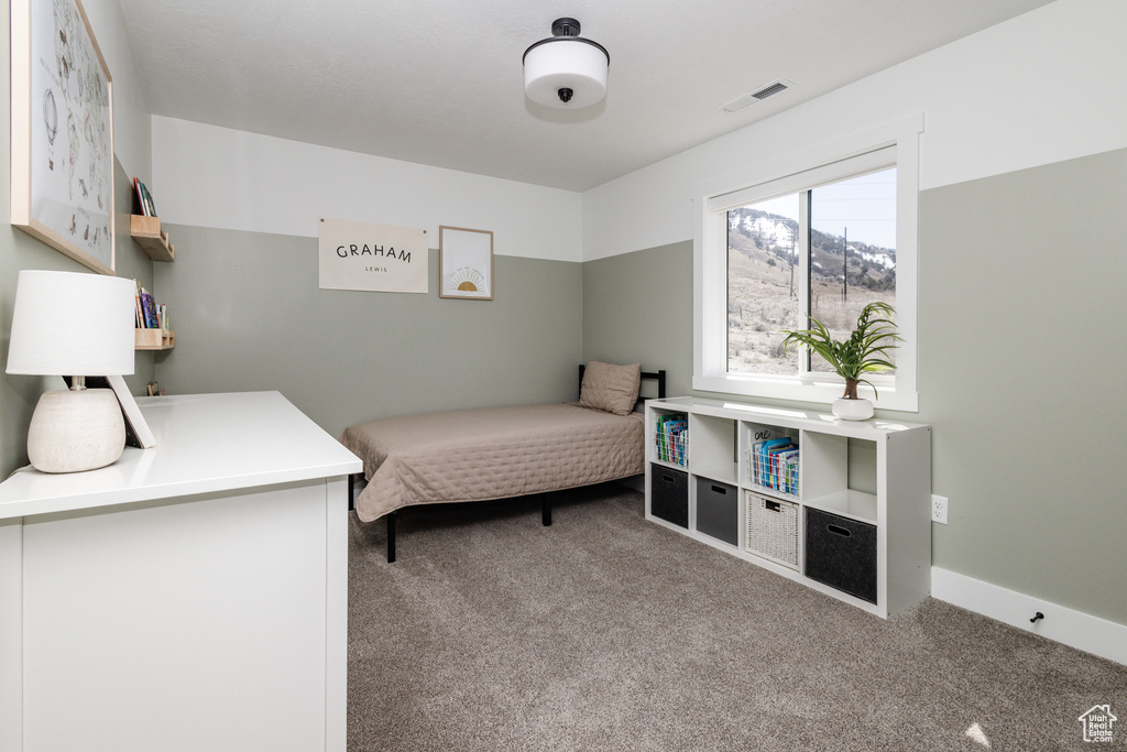 Bedroom with carpet floors