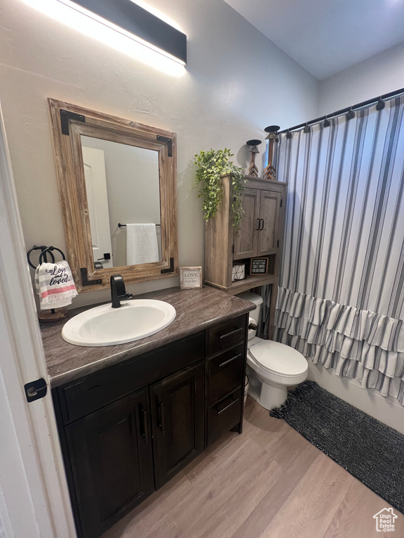 Bathroom featuring vanity, toilet, and wood-type flooring