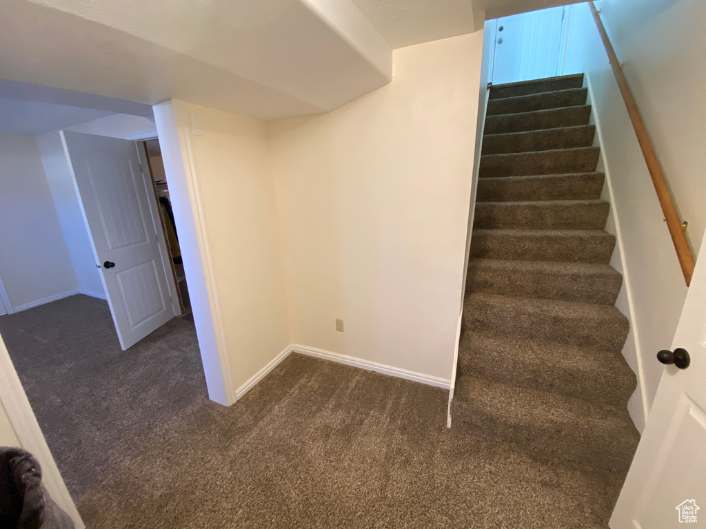 Stairs featuring dark carpet