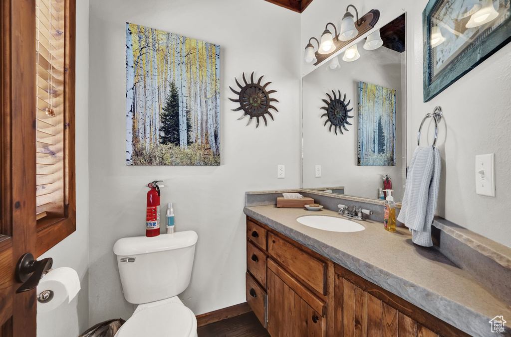 Bathroom with vanity and toilet