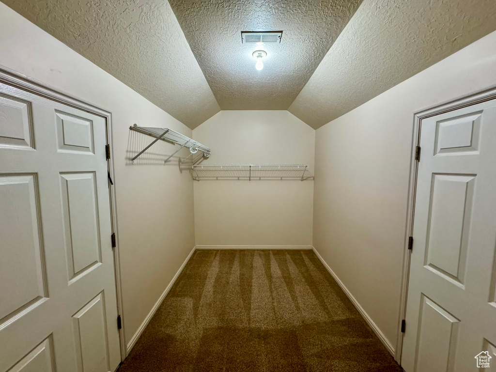 Spacious closet with vaulted ceiling and dark colored carpet