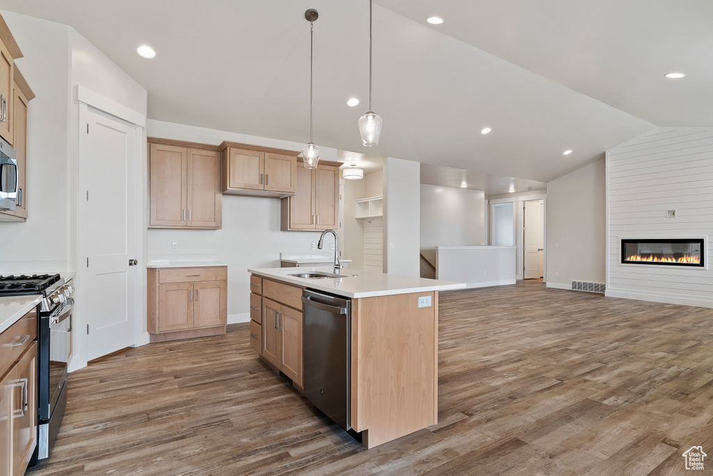Kitchen featuring stainless steel appliances, sink, a large fireplace, and wood-type flooring