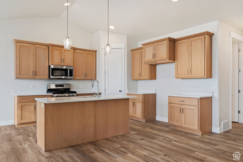 Kitchen featuring lofted ceiling, a kitchen island with sink, wood-type flooring, and appliances with stainless steel finishes
