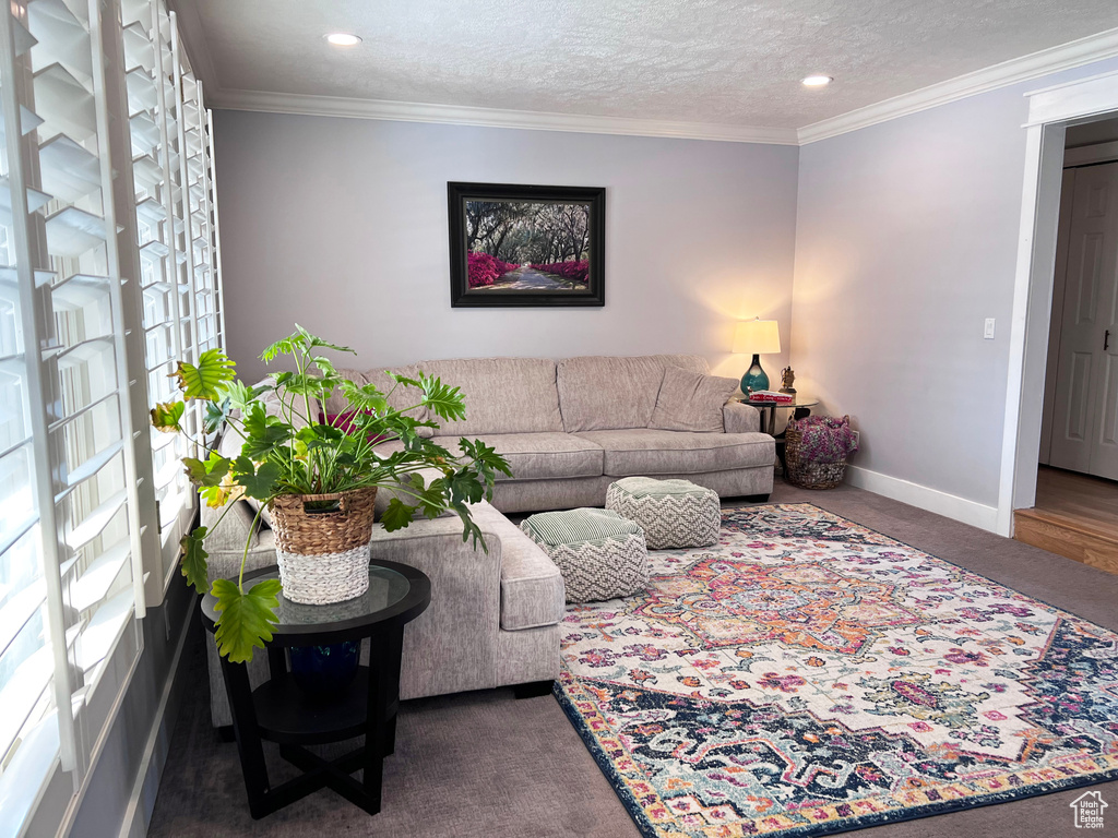 Carpeted living room featuring ornamental molding and a textured ceiling
