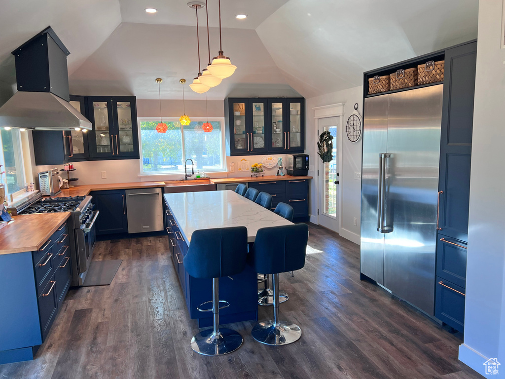 Kitchen featuring high end appliances, a kitchen island, dark hardwood / wood-style floors, and island range hood