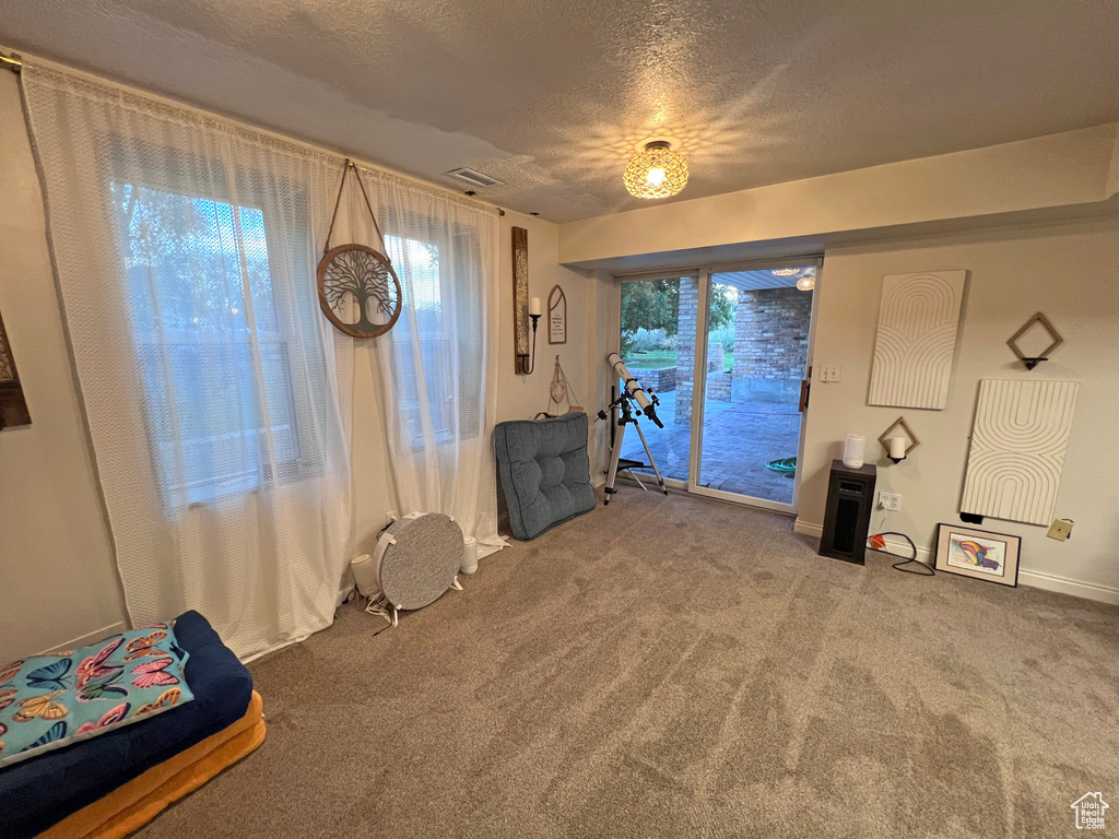 Miscellaneous room featuring light carpet and a textured ceiling