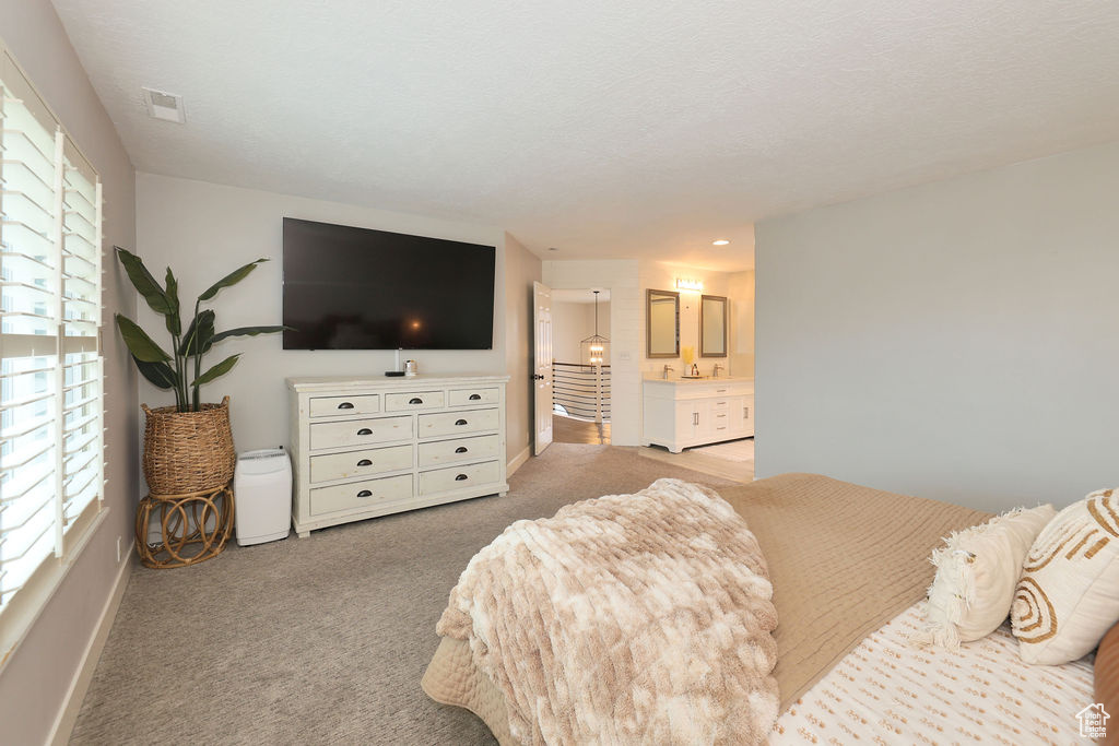 Carpeted bedroom with connected bathroom