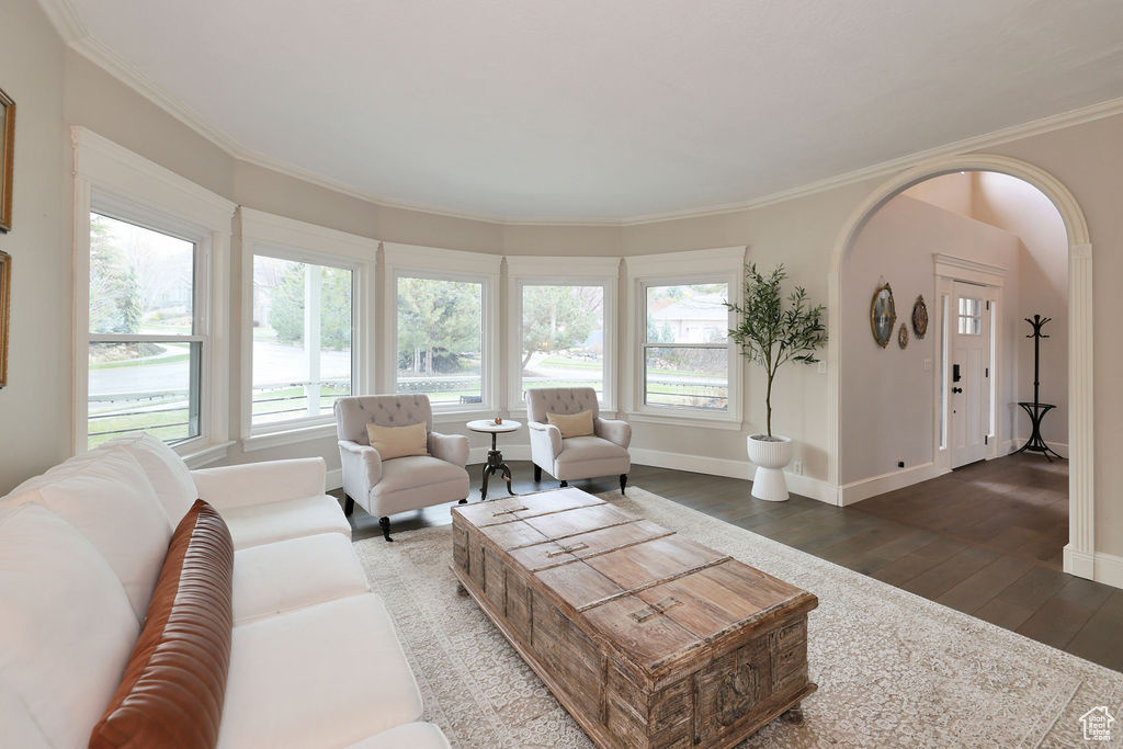 Living room with ornamental molding and dark hardwood / wood-style flooring