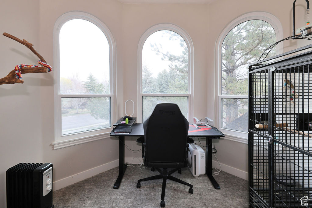 Office featuring dark carpet, a wealth of natural light, and radiator heating unit