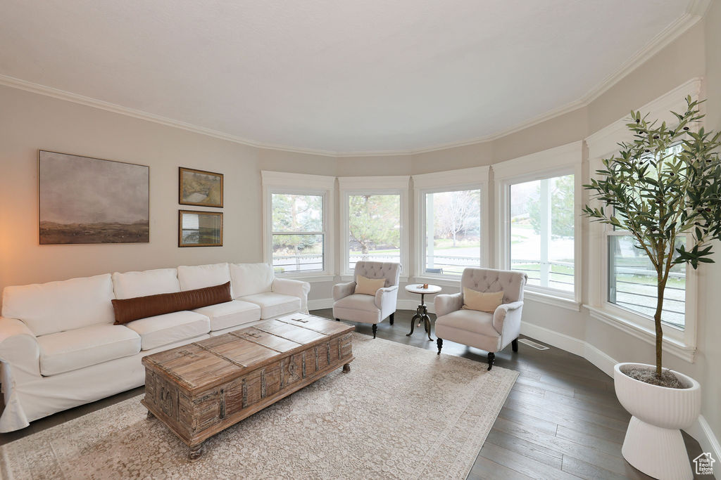 Living room featuring crown molding and hardwood / wood-style floors