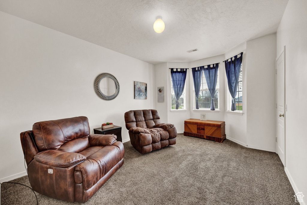 Sitting room with carpet flooring and a textured ceiling