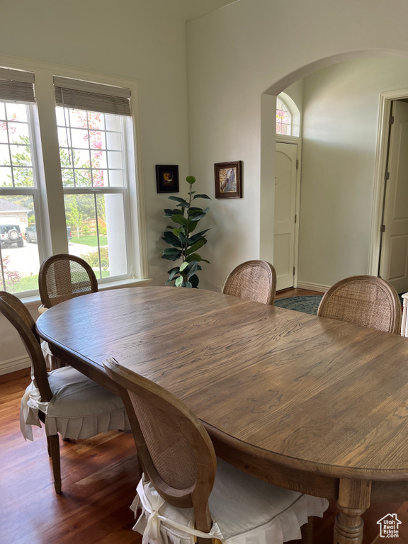 Dining room with light hardwood / wood-style floors and a wealth of natural light