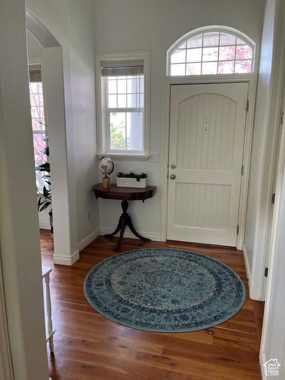 Foyer with hardwood / wood-style floors and a wealth of natural light