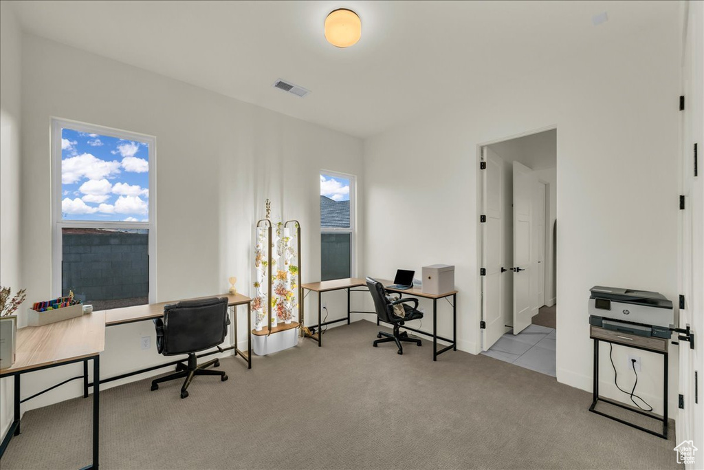 Office area featuring light carpet