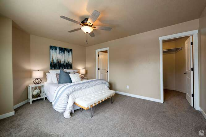 Carpeted bedroom featuring a closet, a walk in closet, and ceiling fan