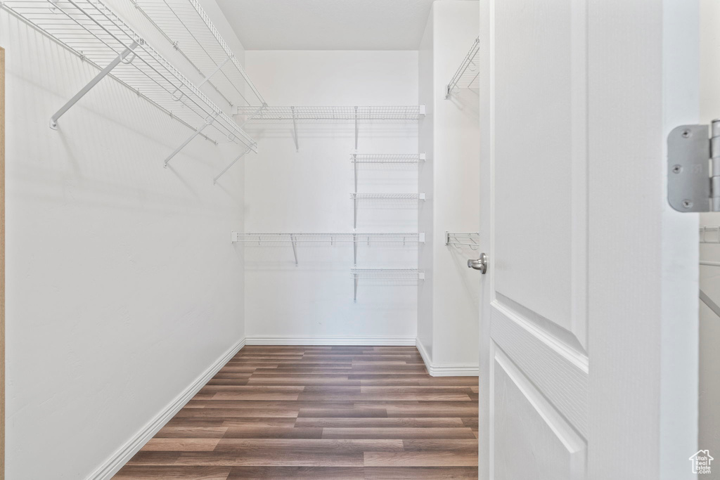 Spacious closet featuring wood-type flooring