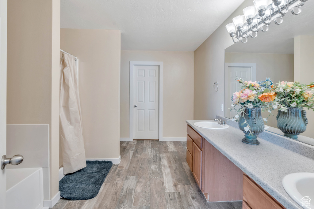Bathroom featuring vanity and wood-type flooring
