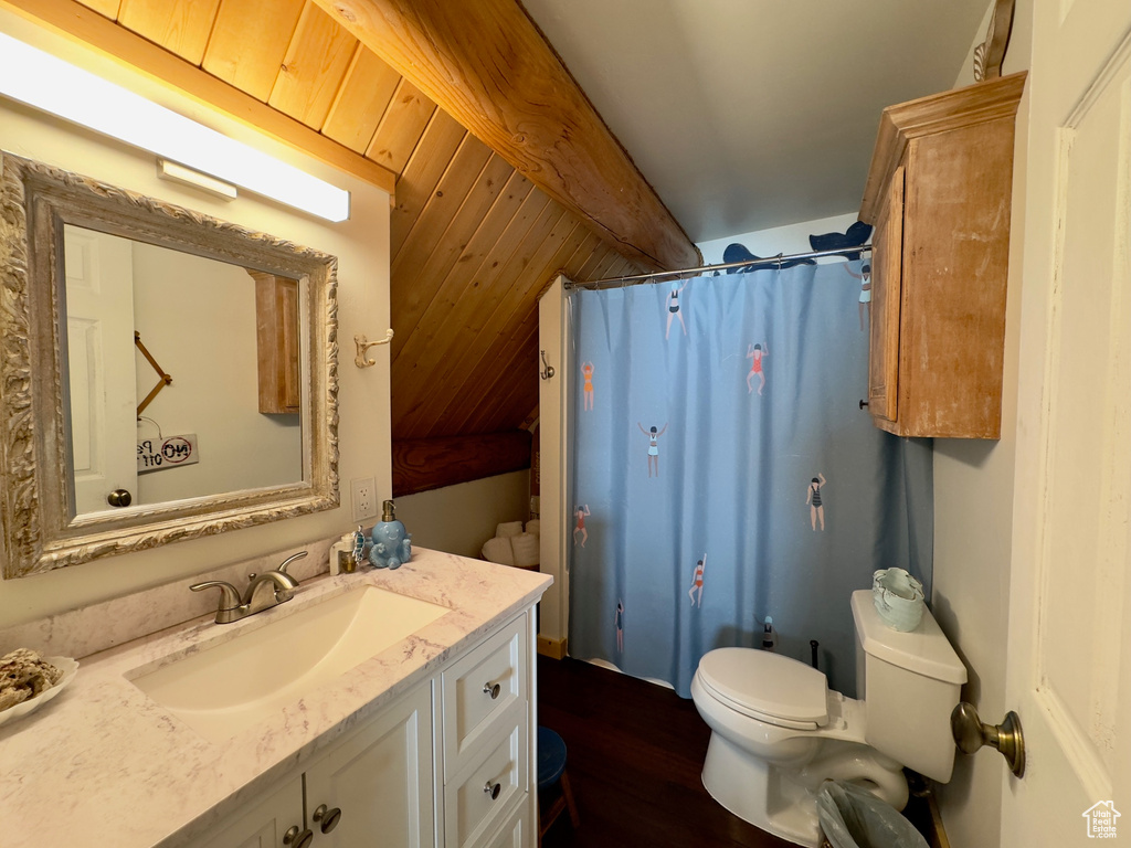 Bathroom featuring large vanity, toilet, and wood-type flooring