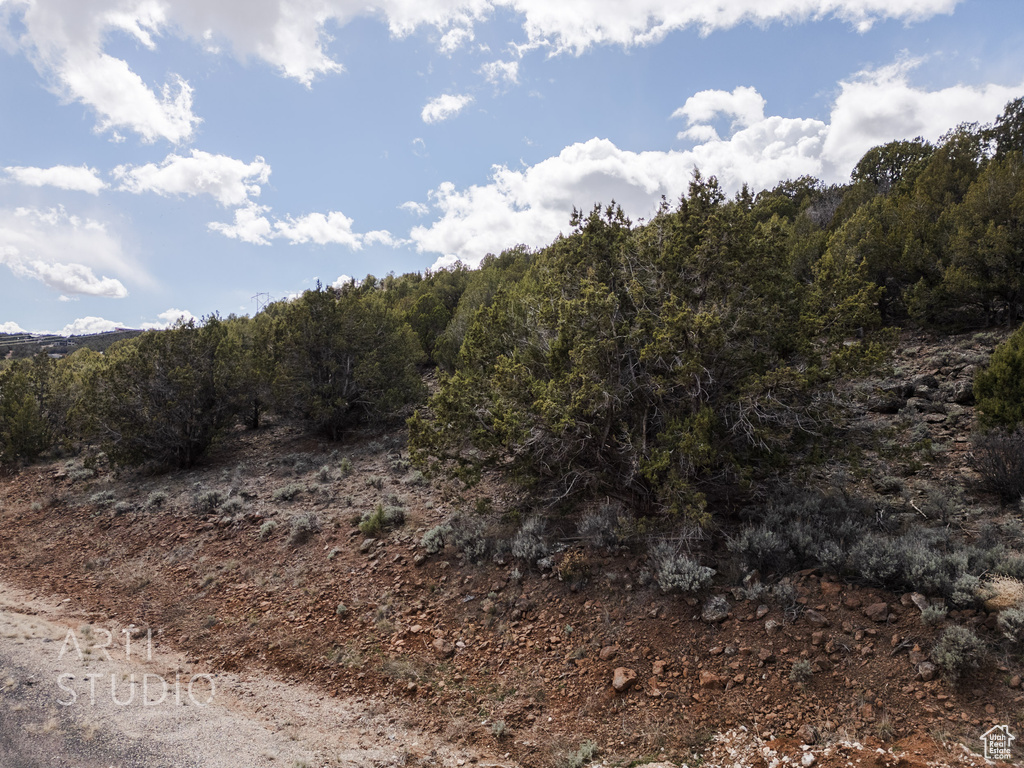 View of local wilderness