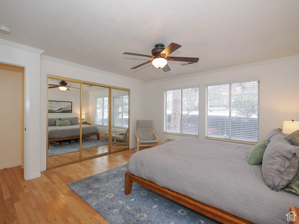 Bedroom featuring crown molding, multiple windows, ceiling fan, and light wood-type flooring