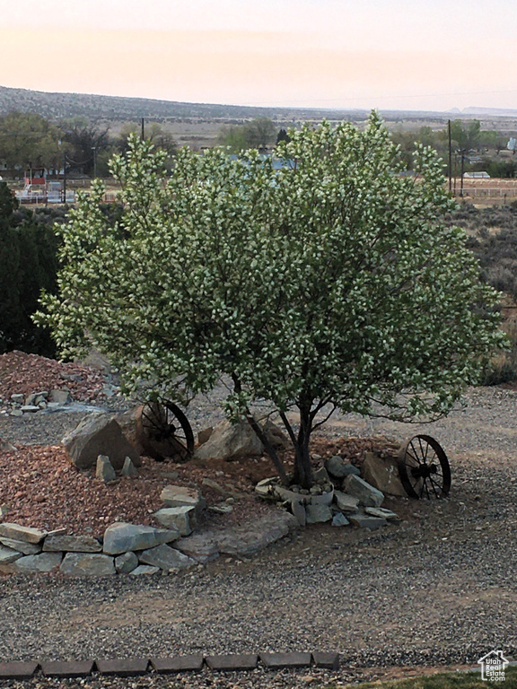 View of yard at dusk