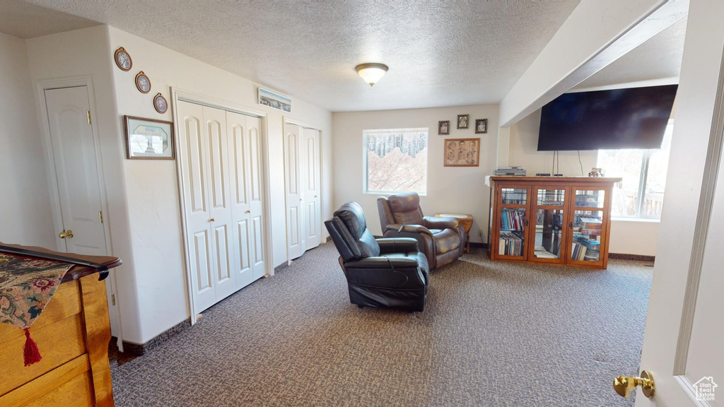 Sitting room featuring a textured ceiling and dark colored carpet