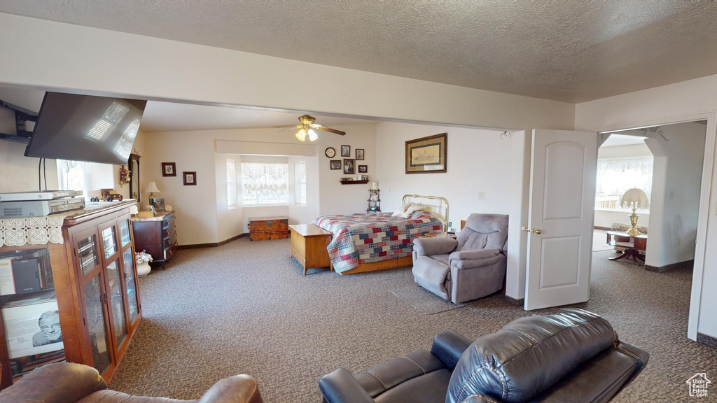 Living room featuring dark carpet, ceiling fan, and a textured ceiling