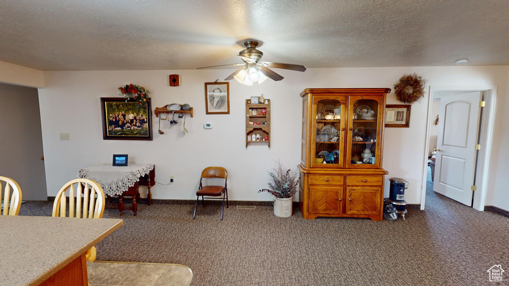 Carpeted living room with a textured ceiling and ceiling fan