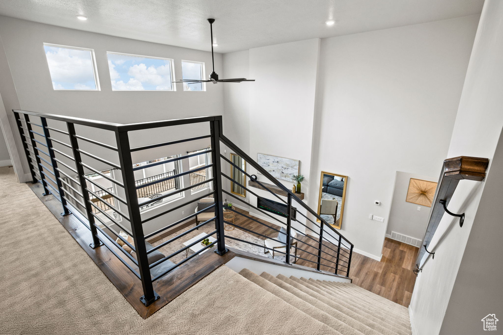 Stairway featuring carpet floors and ceiling fan
