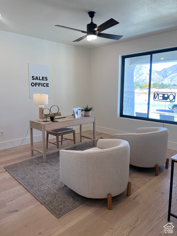 Office space featuring ceiling fan and light hardwood / wood-style flooring