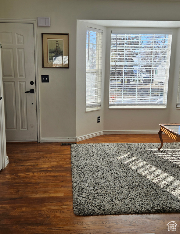 Entryway with a wealth of natural light and dark hardwood / wood-style flooring
