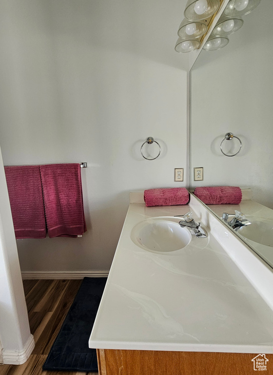 Bathroom with hardwood / wood-style floors and oversized vanity